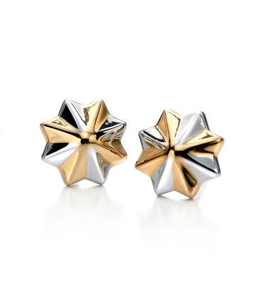 Picture of FS 3D Two Tone Star Earrings