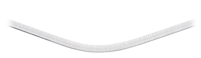 Picture of Herringbone 46Cm Chain