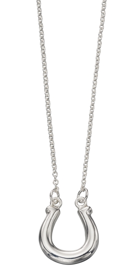 Picture of Horseshoe Necklace