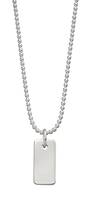 Picture of Childrens Dog Tag Necklace