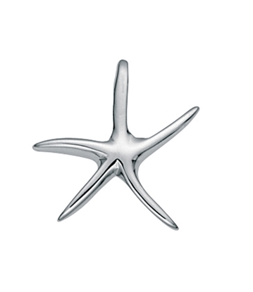 Picture of Small Starfish Pendant