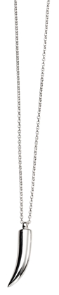 Picture of Plain Polished Tusk Necklace