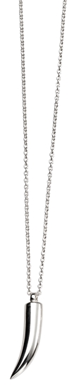 Picture of Plain Polished Tusk Necklace