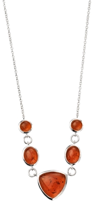 Picture of Amber Multi Shaped Necklace
