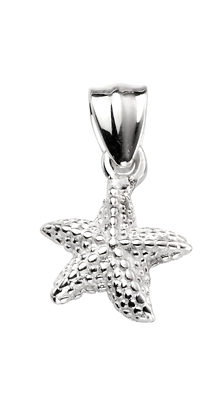 Picture of Starfish Pendant