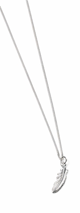 Picture of Feather Necklace