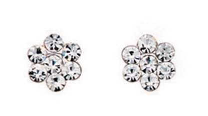Picture of Clear Crystal Diamante Flower Stud