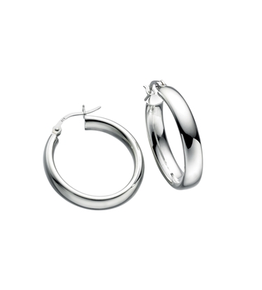 Picture of Oval Tube Hoop Earrings