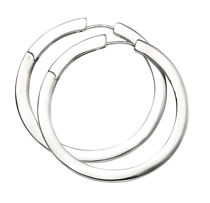 Picture of Huggy Hoop Earrings