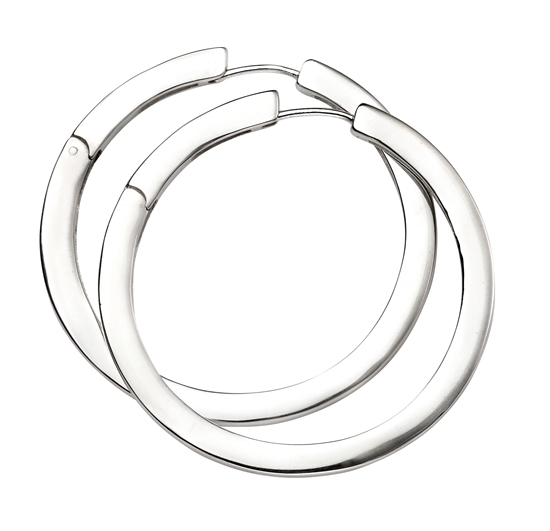Picture of Huggy Hoop Earrings