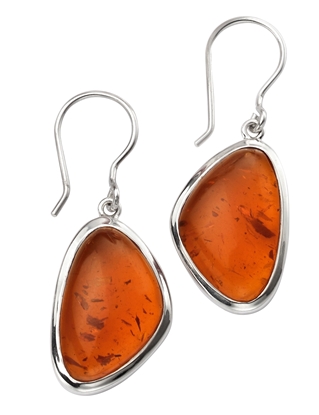 Picture of Abstract Shape Amber Earrings
