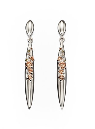Picture of Multi Coloured Cubic Zirconia Earrings