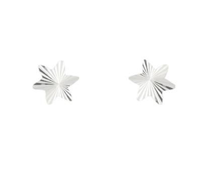 Picture of Silver Diamond Cut Star Earrings 067