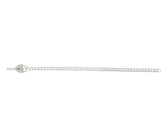 Picture of Silver 28 Double Curb Charm