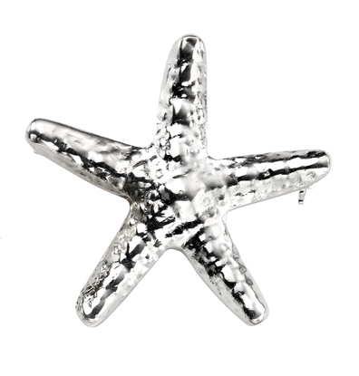Picture of Starfish Brooch