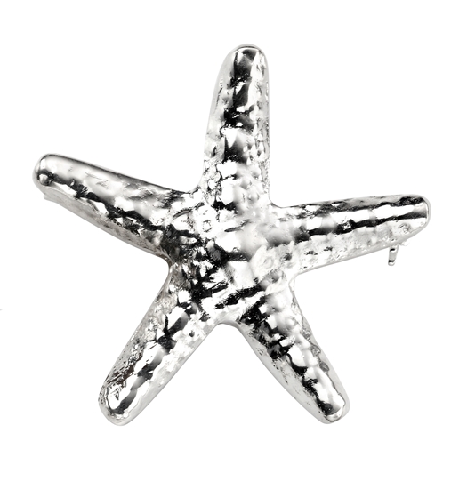 Picture of Starfish Brooch