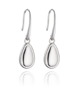 Picture of Brushed Egg Shaped Hook Earrings