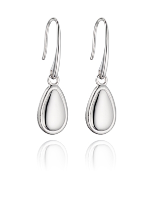 Picture of Brushed Egg Shaped Hook Earrings