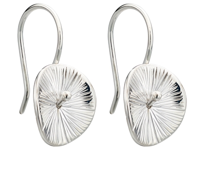 Picture of Scratch Finish Disc Earrings