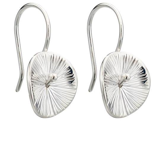 Picture of Scratch Finish Disc Earrings