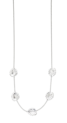 Picture of Silver Cheese Plant Necklace