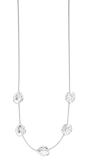 Picture of Silver Cheese Plant Necklace