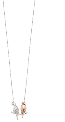 Picture of Mix Plating Rose Silver Parakeet Necklace