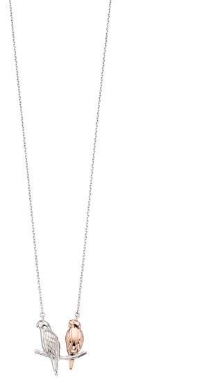 Picture of Mix Plating Rose Silver Parakeet Necklace