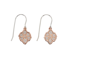 Picture of Pave CZ Wing Pattern Front Back Earrings