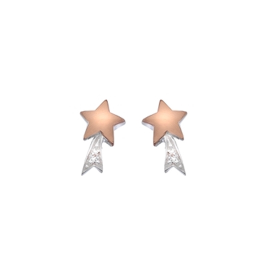 Picture of Silver and rose gold plated shooting star earring pair