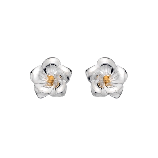 Picture of Silver and gold plated flower earring pair