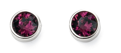 Picture of Feb Birth Stone Earrings