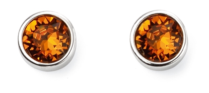 Picture of Nov Birth Stone Earrings